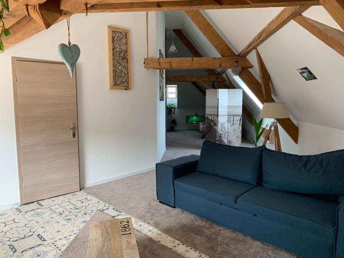 Apartamento Nid De Cigogne Illhaeusern Exterior foto